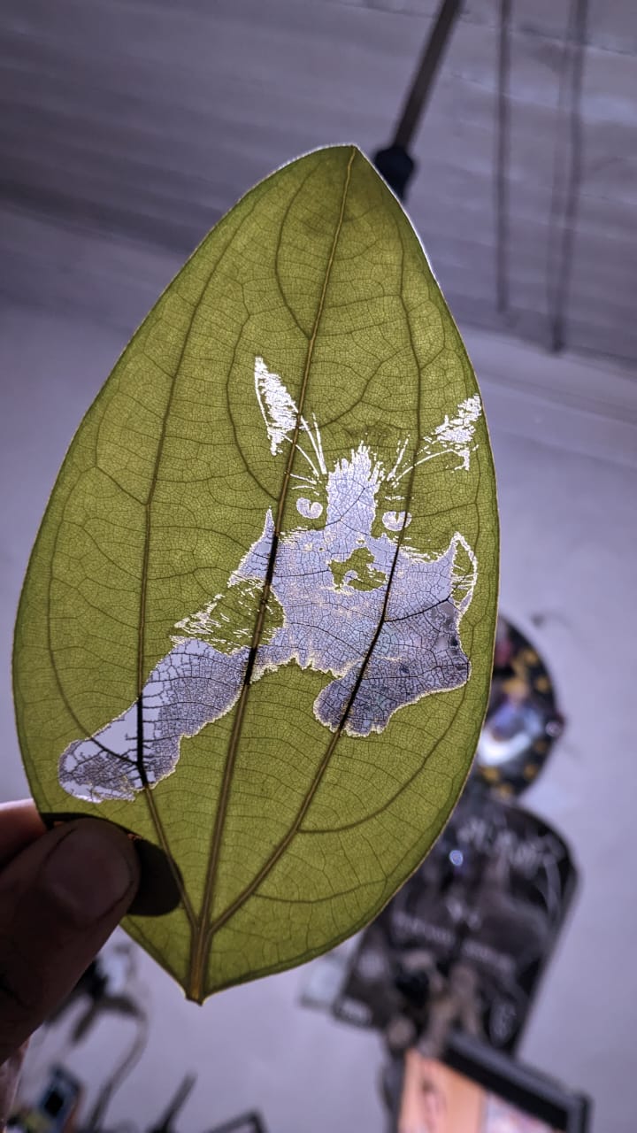 Grabado láser personalizado sobre hoja natural con foto o retrato, regalo ecológico y artesanal hecho en Chile.